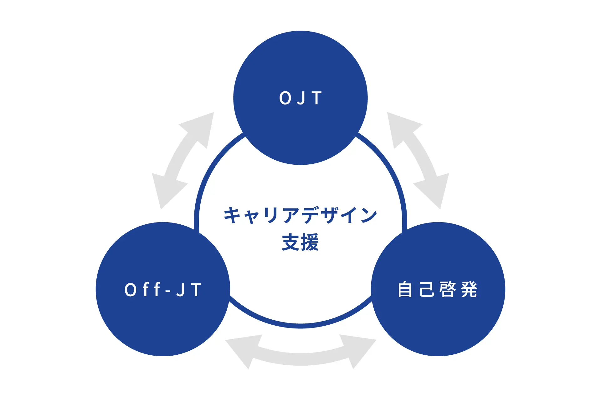 自律的な学習の支援（自律と実践）